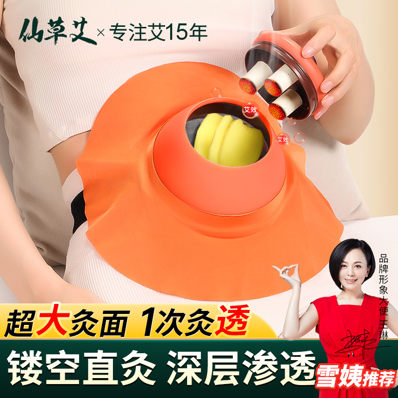 艾灸盒宫寒妇科湿寒灸腰腹部家用