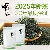 500克 浓香型崂山水绿茶叶袋装 推荐 甲子山日照绿茶2025新茶叶散装