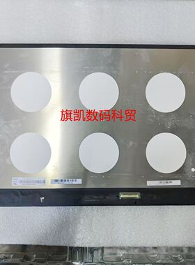 NE170QDM-NZ1 17寸2.5k 240hz 蛟龙17pro旷世X笔记本屏幕