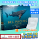 微瑕 海洋百科全书 大太平洋 海洋生物大白鲨水母大章鱼海洋世界科普儿童绘本畅销读物优秀科普 海洋生物 海洋书籍 海底世界