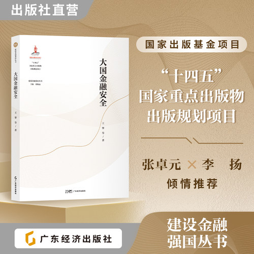 大国金融安全（建设金融强国丛书） 王擎等 著 直击大国博弈与本土金融风险痛点  金融强国 金融安全的全球实践 金融安全逻辑框架