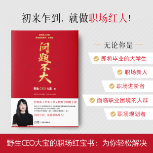 年輕人 高效溝通技巧 問題不大 職場力作2025 工作效率優化 人際關系處理 工作能力提升 野生CEO大寶 第一本職場讀物