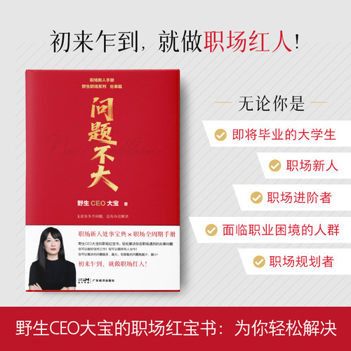 问题不大 野生CEO大宝 职场力作2025 年轻人的第一本职场读物 工作能力提升、工作效率优化、人际关系处理、高效沟通技巧