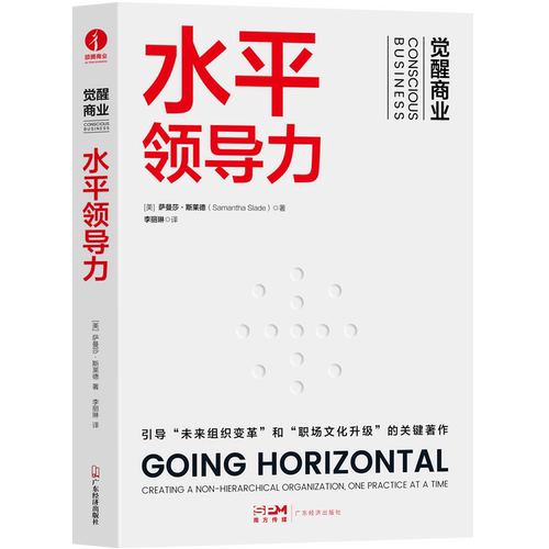 水平领导力 萨曼莎·斯莱德著 影响力 自我觉察 领导力必修课 组织的创新工作 职场人士 管理数字化 人人都具备领导力 自我提升