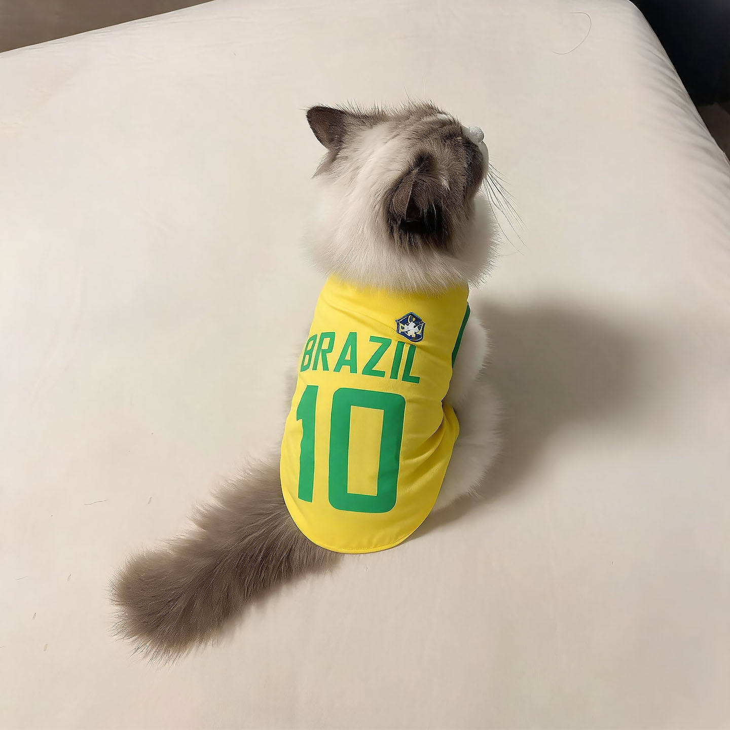 猫咪衣服2026世界杯宠物球衣夏天透气凉凉衣小中大型狗狗防晒衣