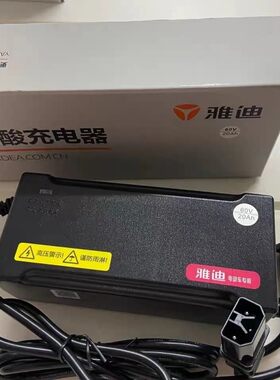 适用雅迪电动车原装正品电瓶车充电器48V60V72V铅酸电池国标轻摩