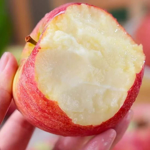 每天水果优选陕西嬴政王苹果 香甜粉面沙甜口感 可作辅食挖泥吃