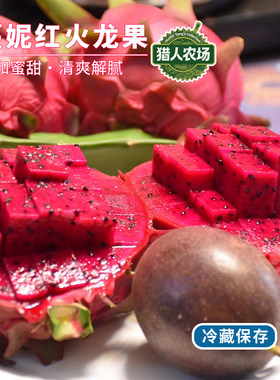 广西蔓妮红火龙果香甜爆汁