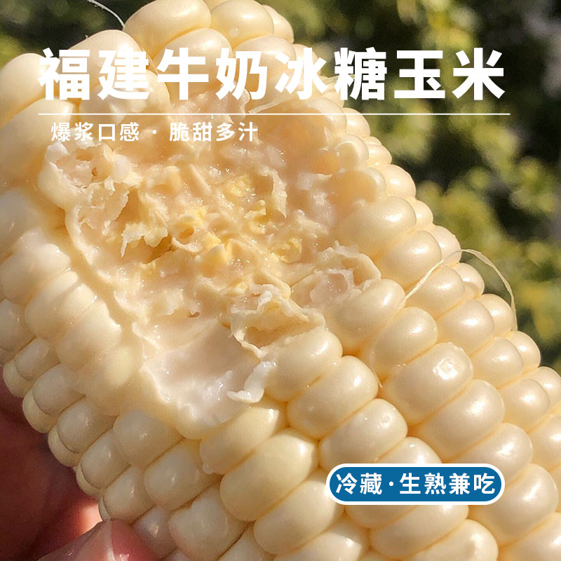 每天水果优选牛奶玉米当季新鲜冰糖玉米爆浆脆甜多汁水果玉米顺丰