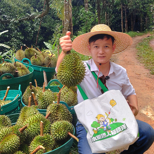 A果【鲜果需放熟吃】泰国进口老树金枕榴莲顺丰当季新鲜带壳发出