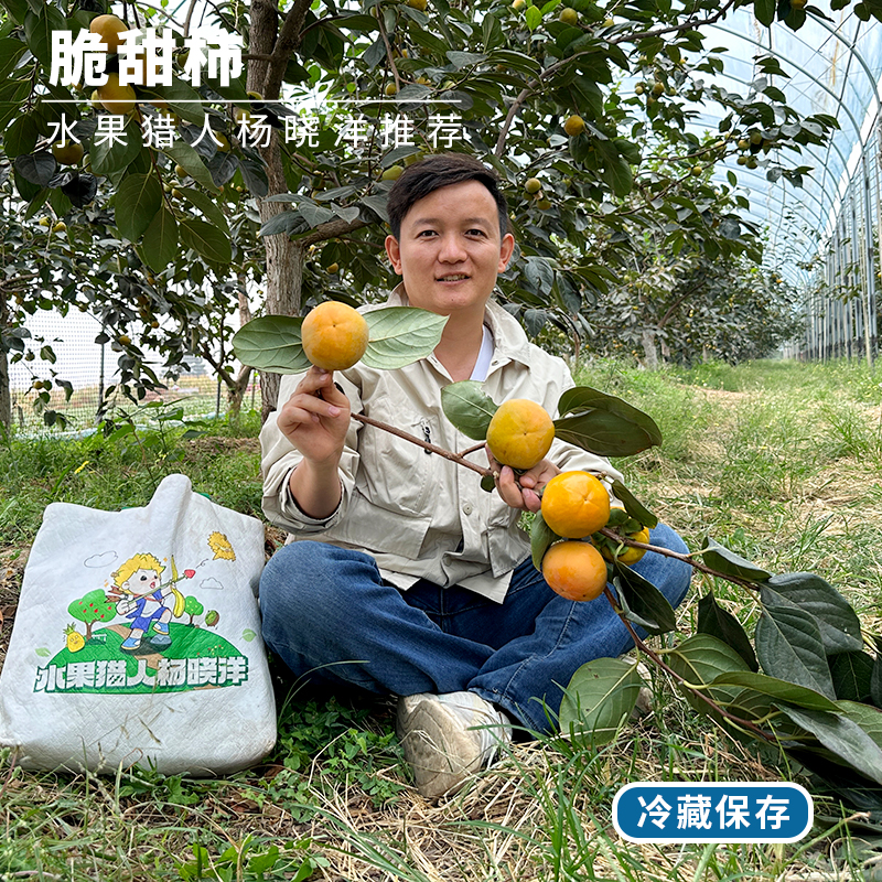 山西脆柿新鲜冰糖心清甜脆