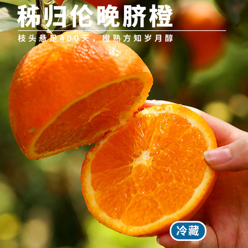 湖北秭归伦晚脐橙当季整箱