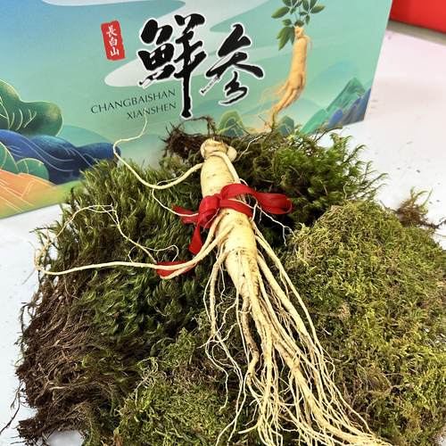 【轻礼盒装】吉林长白山新鲜人参产地直发煲汤炖鸡礼盒装东北特产