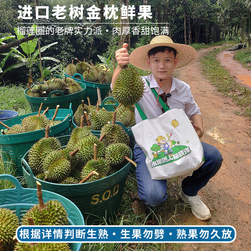 【猎人农场】A果【鲜果需放熟吃】泰国进口老树金枕榴莲当季新鲜