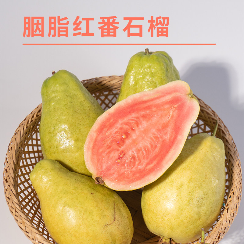 广东海鸥岛胭脂红番石榴当季新鲜红心芭乐清甜孕妇水果整箱包邮