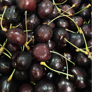 【海运黑车】智利进口科迪亚车厘子JJ5斤原箱顺丰 部分果口感偏软