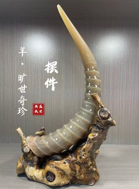 天然天然羊角摆件蒙古高端尖把件实心长度透明收藏把玩文玩
