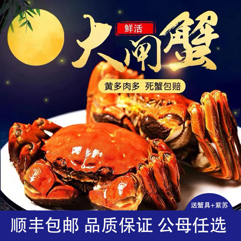 北京闪送江苏清水大闸蟹满黄满膏4.0-3.3两顺丰包邮 送蟹礼盒套装