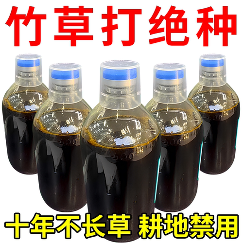 十年不长竹草】强力打竹锄草烂根剂开荒连根灭三年不见正品一扫光