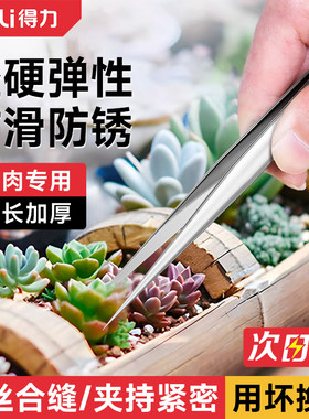 得力镊子多肉专用镊子防腐防锈