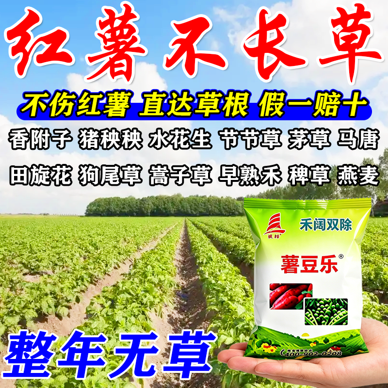 红薯苗后除草专用烂根剂一扫光三年不长草除杂草封闭药安全不伤苗