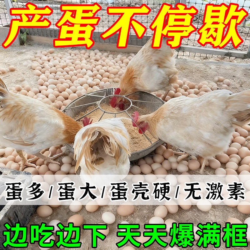催鸡下蛋鸡鸭鹅禽用蛋多多产蛋灵增蛋素宝灵散软壳蛋鸽子鹌鹑满窝,宠物/宠物食品及用品,鸟食,淘宝优惠券,粉丝福利购,淘宝优惠卷