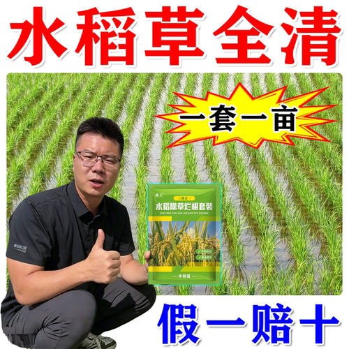 水稻苗后除草专用剂不伤苗稗草千金子莎草直播田旱稻通用烂根剂