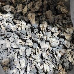 新疆特产好吃新货巴楚菇巴楚野生蘑菇干食用菌香菇胡杨皱柄羊肚菌