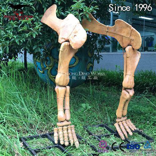 化石骨架恐龙脚模型仿真化石博物馆科技馆展览自贡恐龙厂家制作