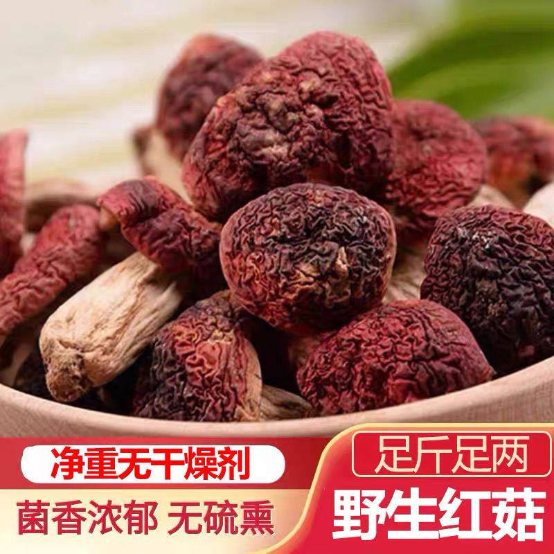新店福利福建野生红菇中朵未开伞正宗三明红菇礼盒月子煲汤干货