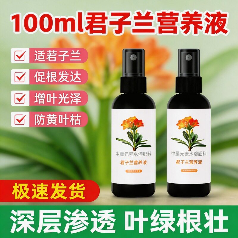 君子兰营养液花促箭剂防夹箭黄叶烂根不开花肥
