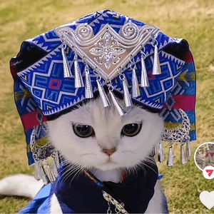 民族非遗壮族宠物狗猫服饰猫咪泰迪比熊博美小型犬猫咪苗族服饰