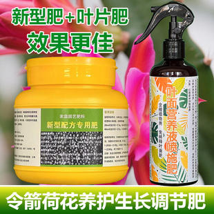 令箭荷花专用肥料花卉营养液叶片干瘪锈打蔫枯萎发红开花发芽肥料