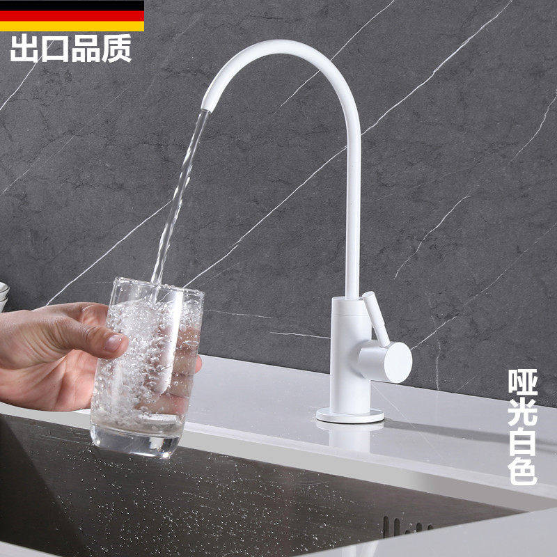 白色厨房水槽净水器直饮龙头2分