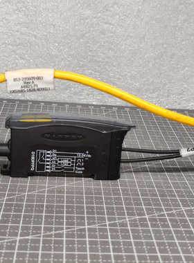 美国邦纳BANNER D10DPFPQ 光纤放大器高性能模拟