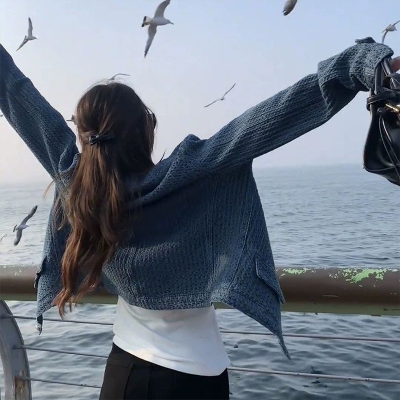 小香风立领蓝色牛仔外套