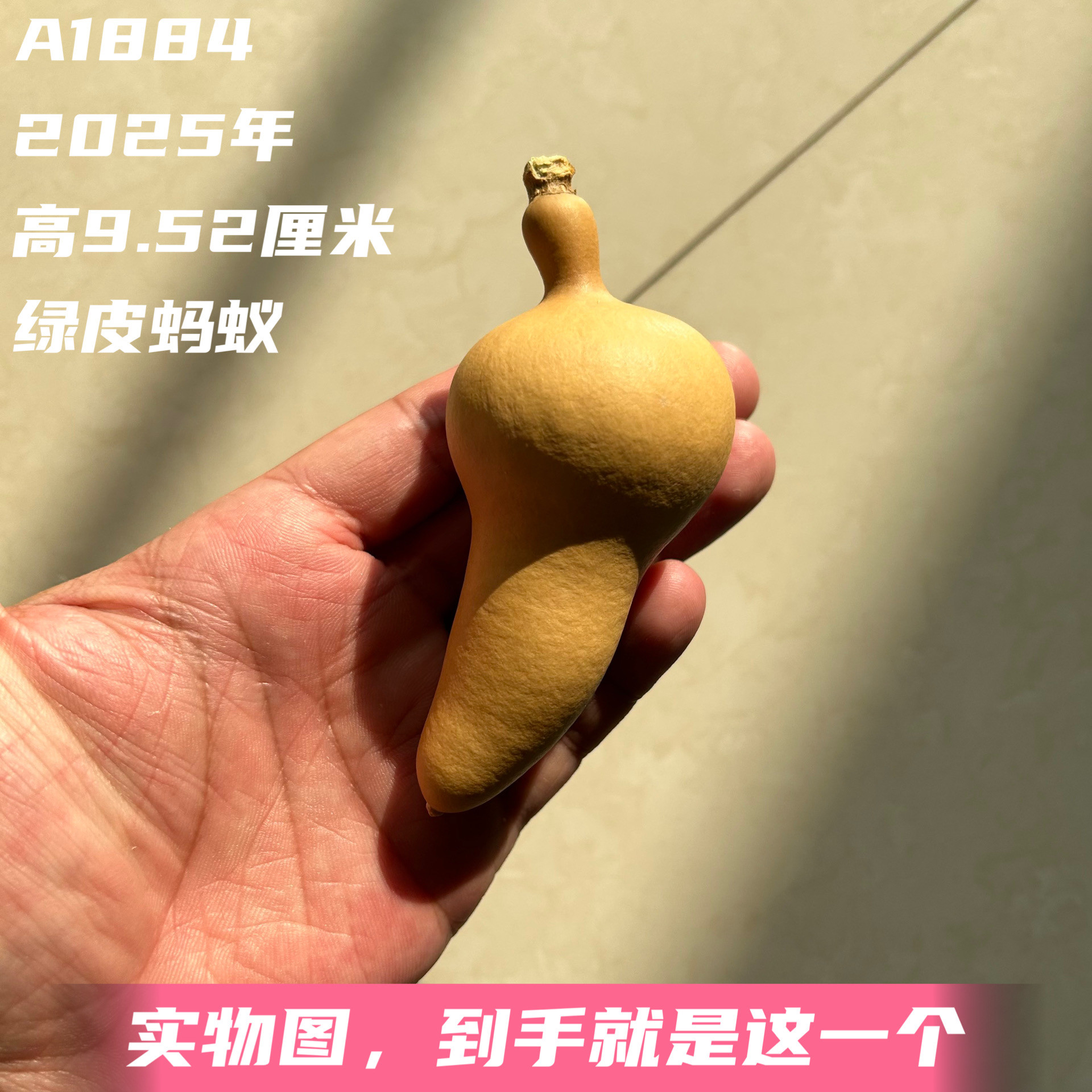 A1884高9.52厘米2025年精品手捻端肩柳叶绿皮蚂蚁肚葫芦