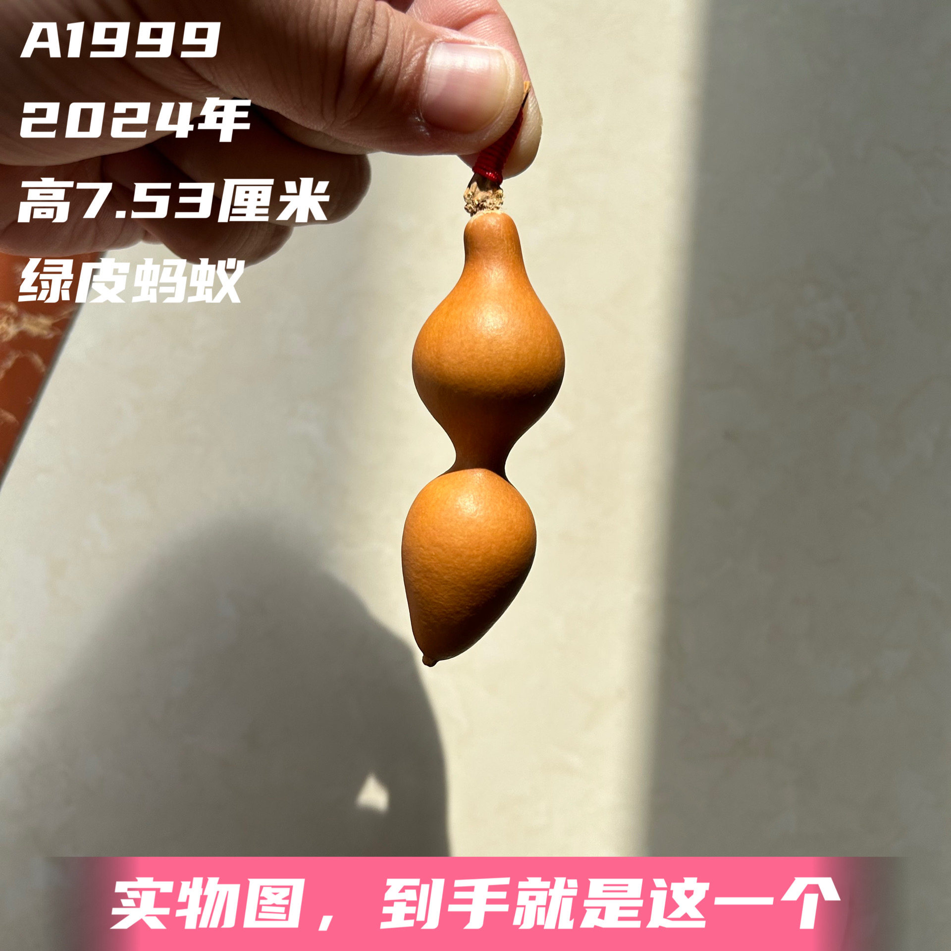 A1999高7.53厘米2024年精品手捻绿皮蚂蚁肚葫芦