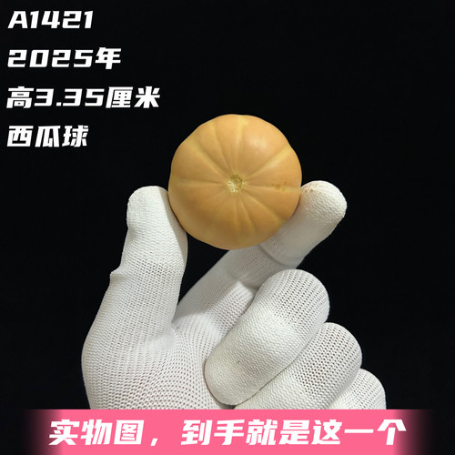 A1421高3.35厘米2025年精品手捻西瓜球墨西哥七彩文玩葫芦
