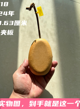 A1018高10.63厘米2024年精品冬瓜葫芦夹板摆件手把件