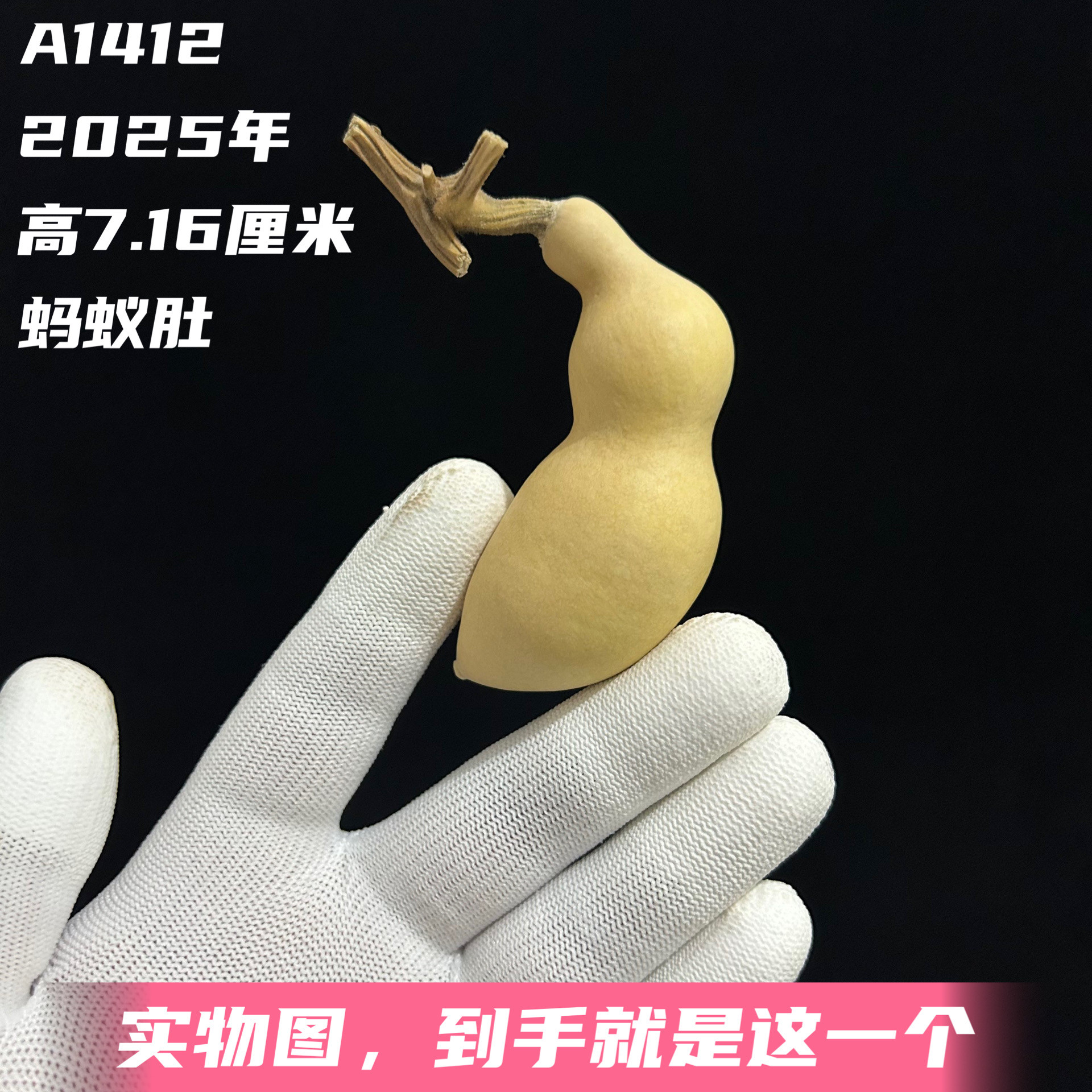 A1412高7.16厘米2025年精品手捻弓背绿皮胖蚂蚁肚葫芦