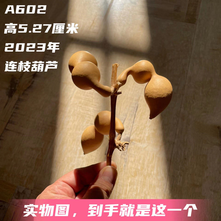 A602高5.27厘米2023年收藏级三连枝翻嘴修身弓背尖肚蚂蚁肚葫芦