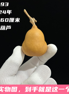 A1293高4.60厘米2024年精品手捻胖墩勒扎小金蟾葫芦