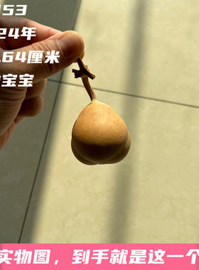 A1053高4.64厘米2024年精品花叶病勒扎胖金蟾宝宝葫芦