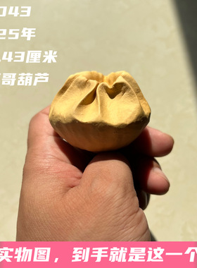 A2043高4.43厘米2025年精品手捻抽抽辣子罐聚宝盆墨西哥七彩葫芦
