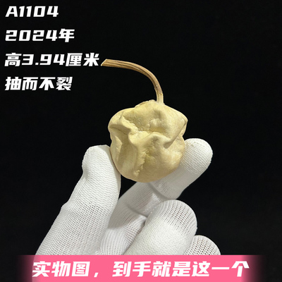 A1104高3.94厘米2024年精品抽而不裂小苹果异形葫芦