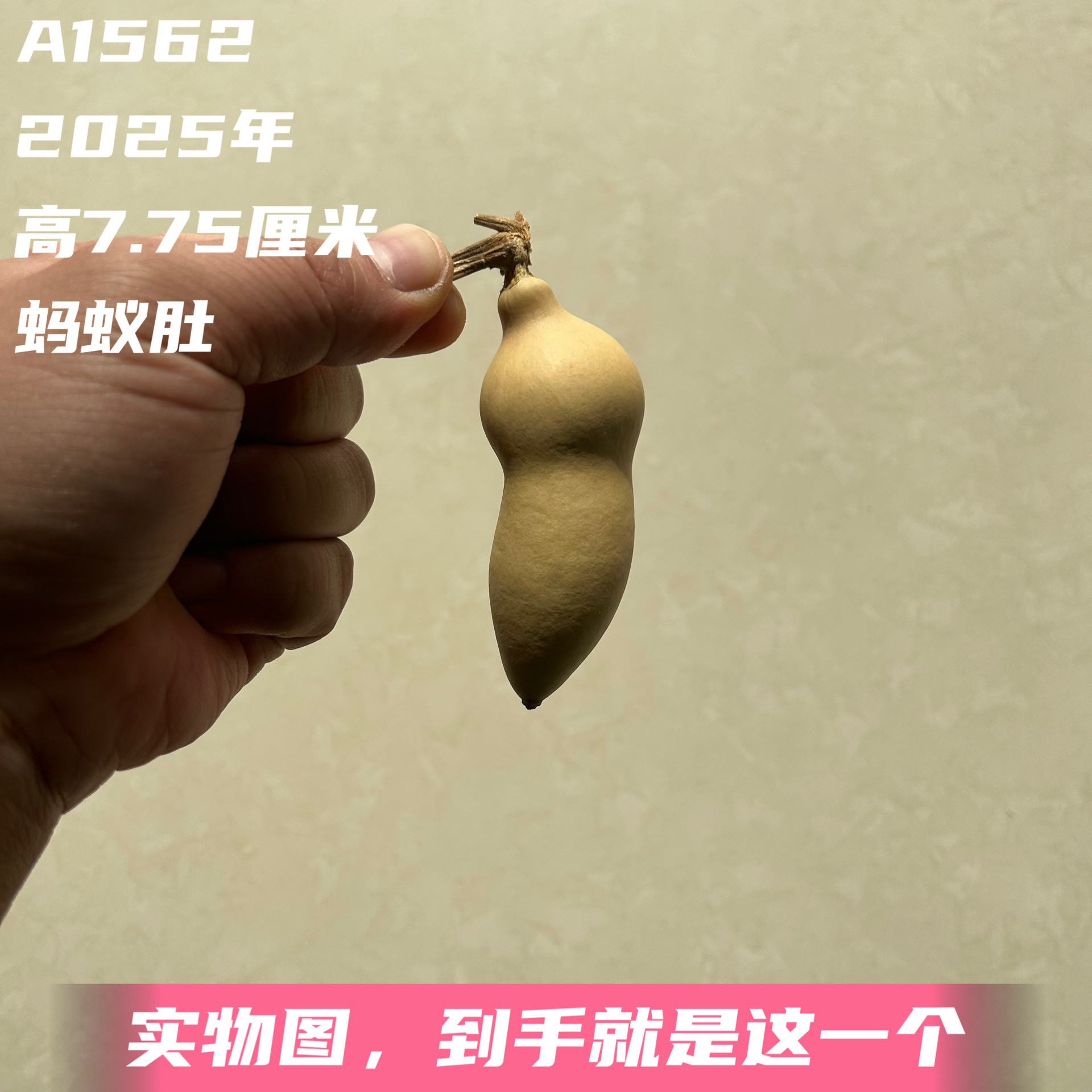 A1562高7.75厘米2025年精品手捻扁肚尖肚蚂蚁肚葫芦