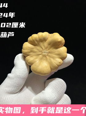 A844高4.02厘米2024年精品翻花罐墨西哥七彩疙瘩葫芦手捻文玩