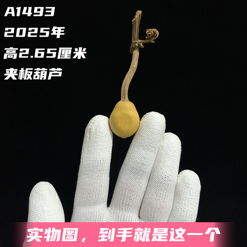 A1493高2.65厘米2025年精品手捻迷你小梨墩夹板葫芦