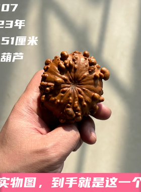 A1807高3.51厘米2023年精品手捻兰州瓷皮疙瘩葫芦